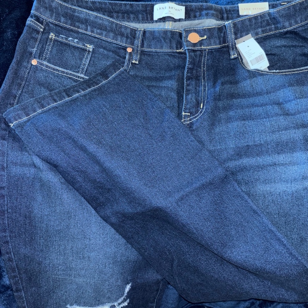 Lane Bryant Signature fit jeans!